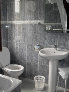 La salle de bains est pourvue de toilettes et d'un lavabo. dans l'établissement Hotel Asturias, à Arriondas