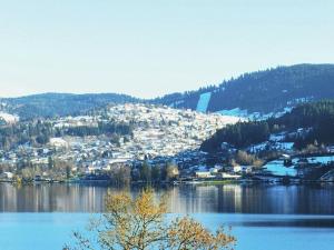a large body of water with a town in the background at 23 Rue de la République in Gérardmer