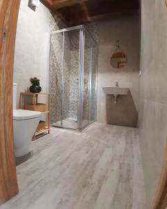 y baño con ducha, aseo y lavamanos. en Casa Perdigueira, en Castromayor