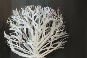 Fotografie z fotogalerie ubytování Il bosco delle torte v destinaci Castellinaldo