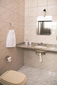 bagno con servizi igienici, lavandino e specchio di Casa confortável em Guaratinguetá a Guaratinguetá