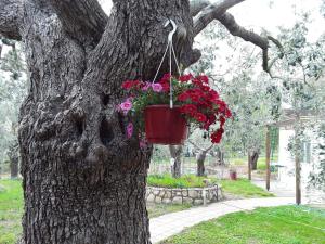 Gallery image of House Christie in Chrysi Ammoudia
