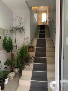 Fotografie z fotogalerie ubytování Apartmani Jovanovic v destinaci Ivanjica