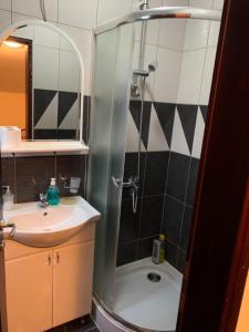 Koupelna v ubytování Apartmani Jovanovic