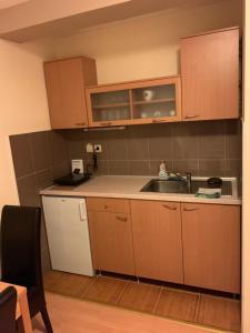 Kuchyň nebo kuchyňský kout v ubytování Apartmani Jovanovic