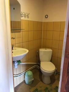 Koupelna v ubytování Viesu Māja Arnicāni