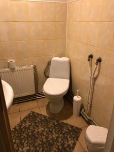 a bathroom with a white toilet in a room at Viesu Māja Arnicāni in Ragaciems