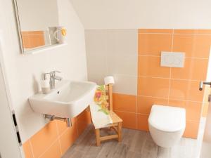 a bathroom with a sink and a toilet at Apartments and rooms Nataša 1 in Trenta
