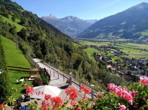 a view of a valley with mountains and flowers at Appartements Sonnberg in Bad Hofgastein