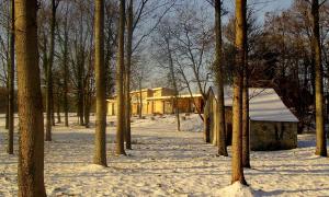 D'une Autre Nature v zimě