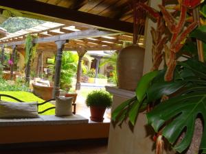 a patio with a pergola and some plants at Casa Santa Rosa Hotel Boutique in Antigua Guatemala