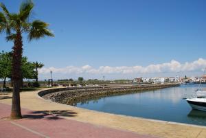 uma palmeira ao lado de um rio com um barco em Marina I by Ĥ em Isla del Moral