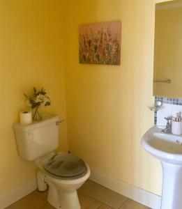 a bathroom with a toilet and a sink at Foxglove House in Valentia Island