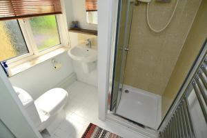 a bathroom with a shower and a toilet and a sink at Pentre ISAF in Conwy +32 photos