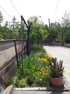 Fotografie z fotogalerie ubytování Sataplia District v destinaci Kutaisi