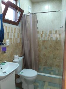 a bathroom with a shower and a toilet and a sink at Guest House Gzirishvili in Kvareli