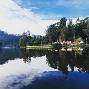 Blick auf einen See mit Bäumen im Hintergrund in der Unterkunft Hotel Jc Grand in Kodaikanal