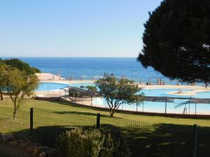 ein Schwimmbad mit dem Ozean im Hintergrund in der Unterkunft Dream Executive Apartments in Luz