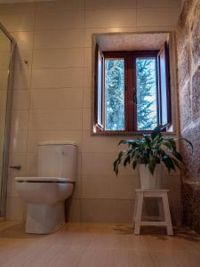 a bathroom with a toilet and a potted plant at Casa Eido Vello in Mos