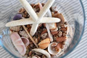 Zdjęcie z galerii obiektu Efi Studios w mieście Drios