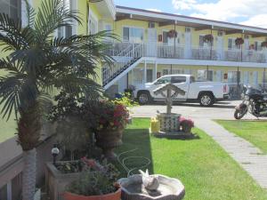 Gallery image of Travellers Motel in Cranbrook