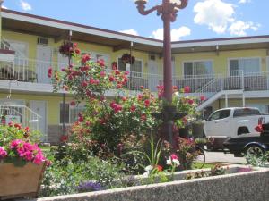 Zahrada ubytování Travellers Motel