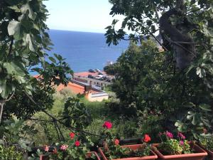 a view of the ocean from a garden with flowers at Casa del sasso in Bergeggi