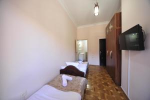 TV a/nebo společenská místnost v ubytování Guest House Batumi Globus