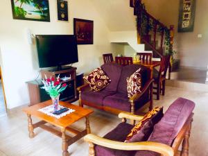 TV a/nebo společenská místnost v ubytování Mountain Lodge