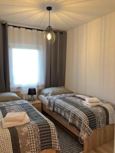 a bedroom with two beds and a chandelier at Apartament Swoboda in Poznań