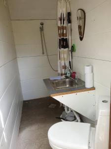 a small bathroom with a toilet and a sink at Sunrise in Tappernøje