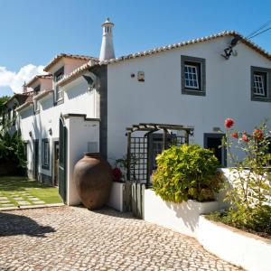Uma casa branca com um vaso à frente. em Casas do Vale da Rainha em Portimão