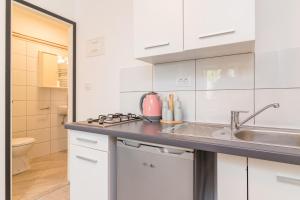 Kuchyň nebo kuchyňský kout v ubytování Apartments Rede