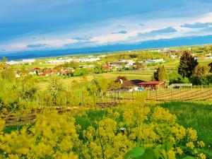 a farm in a field with yellow flowers at Casa Muro in Friedrichshafen