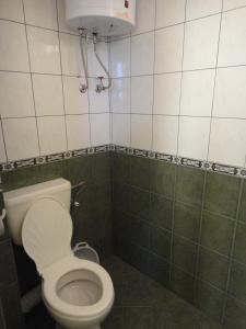 ロゼネッツにあるGuest Rooms Kotvаtaの緑と白のタイルを用いたバスルーム(トイレ付)