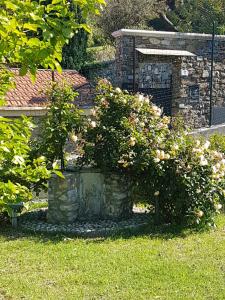 a garden with two bushes and flowers in a yard at Villa Caterina in Imperia