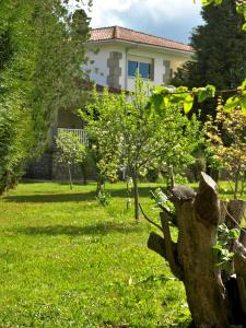 a house in the background with a yard with trees at Albergue Pallanes in Tui