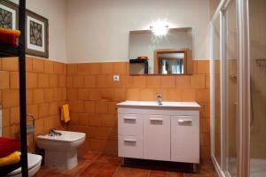 La salle de bains est pourvue d'un lavabo, de toilettes et d'un miroir. dans l'établissement Apartamentos Casa Molinero, à Buera