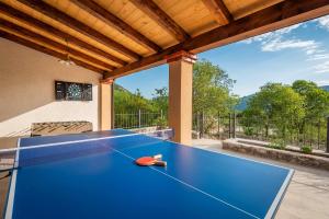 een blauwe tafeltennistafel op een patio bij Villa Danica in Vid