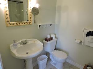 a white toilet sitting next to a sink in a bathroom at Auld Farm Inn B&B in Baddeck