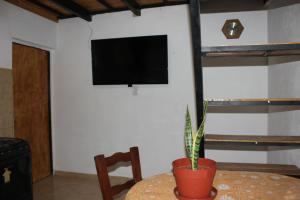 a table with a potted plant and a tv on a wall at Departamento San Ignacio in San Luis