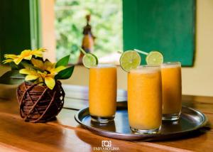 ein Tablett mit vier Gläsern Orangensaft auf einem Tisch in der Unterkunft Pousada Vaca Brava in Areia