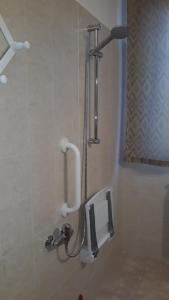 a shower stall in a bathroom with a sink at L'ulivo b&b in Alanno
