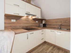 Kuchyň nebo kuchyňský kout v ubytování Apartments and rooms Nataša 2 + 19 fotografií