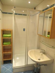 een badkamer met een douche en een wastafel bij Ferienwohnung Brigitte Perner in Nussdorf am Attersee