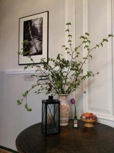 a vase with a plant in it on a table at Baggå Skola BnB & Café in Skinnskatteberg