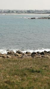 a group of rocks on the shore of a body of water at Mobil home vacances in Plouguerneau