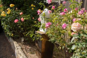 einen Garten mit rosa Blumen und einer weißen Vase in der Unterkunft Nebula Motel in Cooma