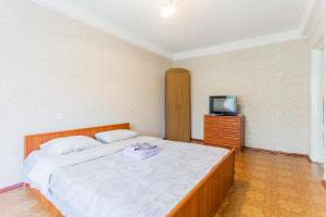 1 dormitorio con 1 cama grande y TV en Квартира эконом-класса возле метро Левобережная, en Kiev