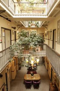 une chambre avec un tas de plantes en pot dans l'établissement Grand Hôtel d'Orléans, à Toulouse